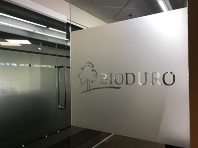 window and wall graphics Photo